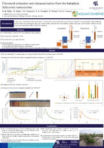 Flavonoid extraction and characterization from the halophyte Salicornia ramosissima