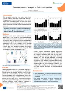 Gene expression analysis in Salicornia species