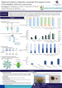 Optimized isolation of phenolic compounds from aqueous extract of the halophyte Salicornia ramosissima