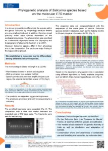 Phylogenetic analysis of Salicornia species based on the molecular ETS marker