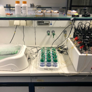 Automated biomethane potential (BMP) test set-up