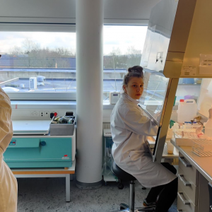 Aalborg University Problem Based Learning students antimicrobial testing
