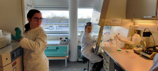 22-05-04_pic_Allan_3 Aalborg University Problem Based Learning students antimicrobial testing